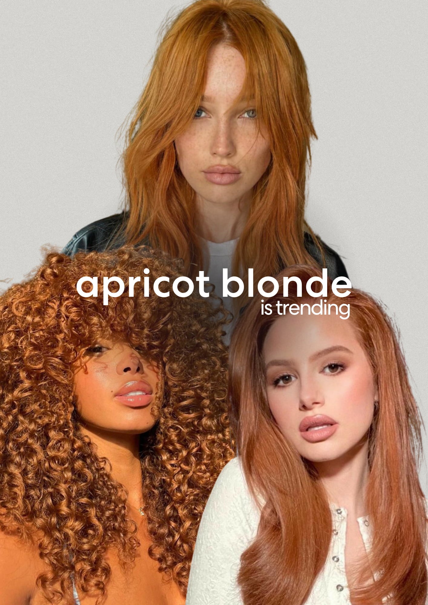 Apricot blonde is trending